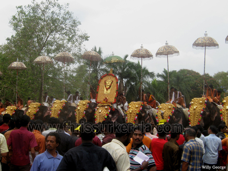 thrissur-pooram-2010 (55)